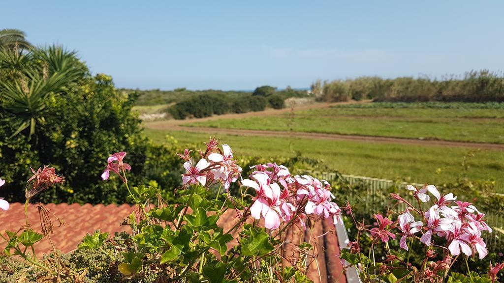 Villa Rosamarina 罗萨玛里纳 外观 照片